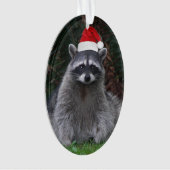 Cute Raccoon Porté Red Santa Hat Holiday (devant)
