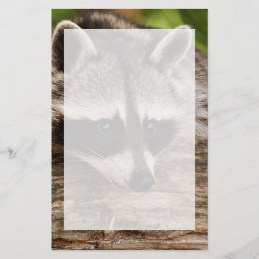 Cute Raccoon Resting on a Log Briefpapier (Voorkant)
