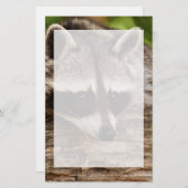 Cute Raccoon Resting on a Log Briefpapier (Voorkant / Achterkant)