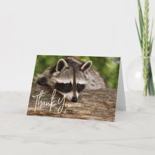 Cute Raccoon Resting on a Log Dank u Kaart
