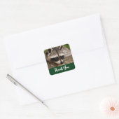 Cute Raccoon Resting on a Log Dank u Vierkante Sticker (Envelop)