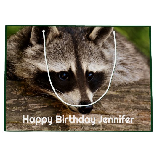 Cute Raccoon Resting on a Log Groot Cadeauzakje (Voorkant)