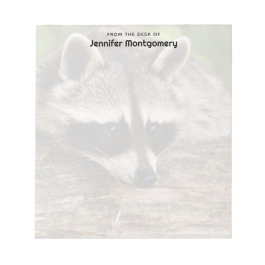 Cute Raccoon Resting on a Log Notitieblok (Voorkant)