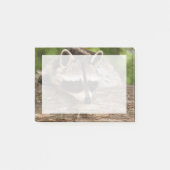 Cute Raccoon Resting on a Log Post-it® Notes (Voorkant)