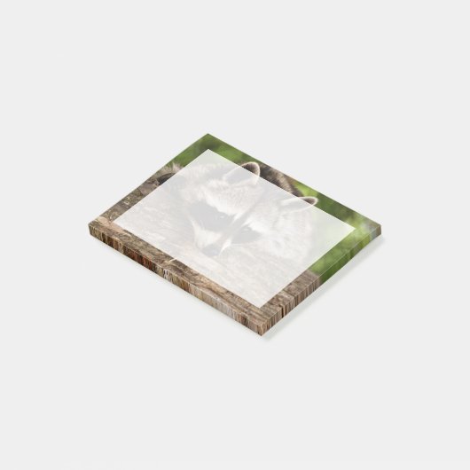 Cute Raccoon Resting on a Log Post-it® Notes (Schuin)