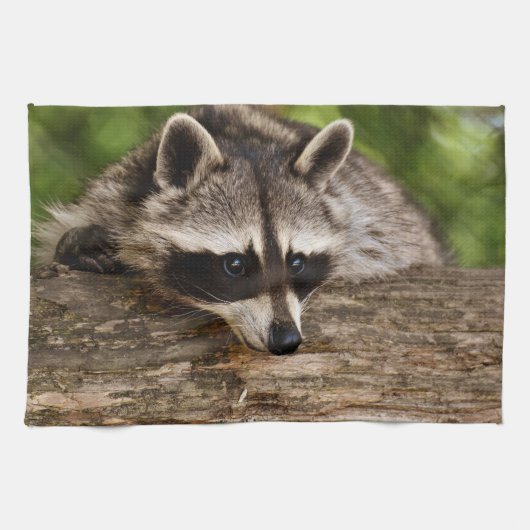 Cute Raccoon Resting on a Log Theedoek (Horizontaal)