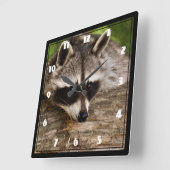 Cute Raccoon Resting on a Log Vierkante Klok (Hoek)