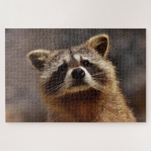 Cute Racoon Legpuzzel (Horizontaal)