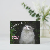 Cute Ragdoll Chat PENSER À VOUS Carte postale (Debout devant)