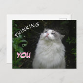 Cute Ragdoll Chat PENSER À VOUS Carte postale (Devant / Derrière)