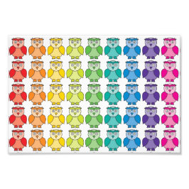 Cute Rainbow Owl Pattern. Foto Afdruk