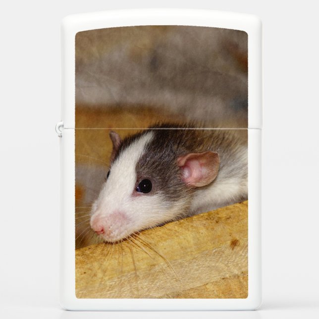 Cute Rat (Voorkant)