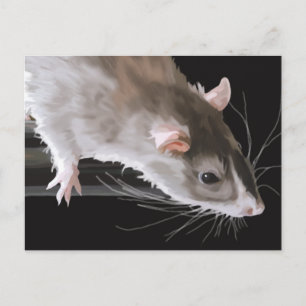 Cute Rat Ansichtkaart Briefkaart