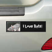 Cute Rat Bumpersticker (Op auto)