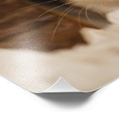 Cute Rat Foto Afdruk (Hoek)