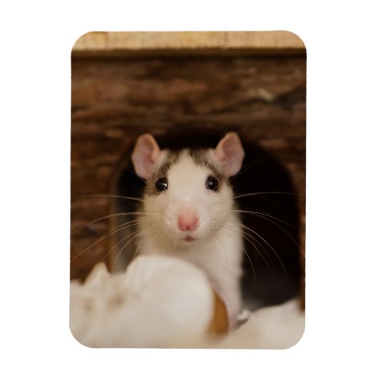 Cute Rat Magneet (Verticaal)