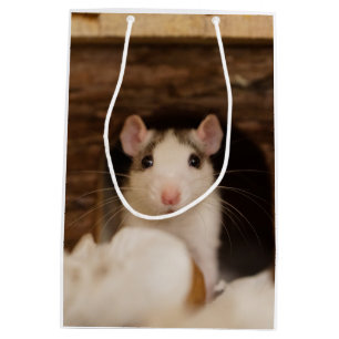 Cute Rat Medium Cadeauzakje