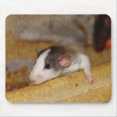 Cute Rat Muismat (Voorkant)