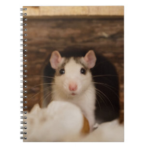 Cute Rat Notitieboek