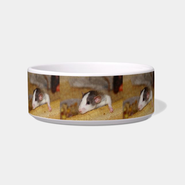 Cute Rat Voerbakje (Voorkant)