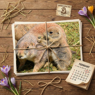 Cute Realistic Groundhog Family Photo Briefkaart