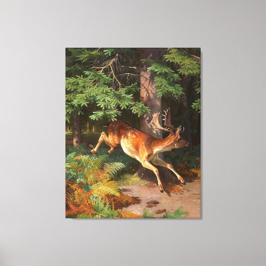 Cute Red Deer in het bos Canvas Afdruk (Voorkant)