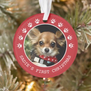 Cute Red Dog schildert Prins Lijst Kerstmis Ornament