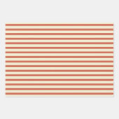 Cute  Red en White Striped Pattern Inpakpapier Vel (Voorkant 3)