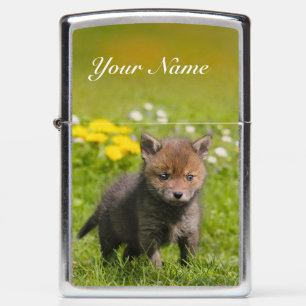 Cute Red Fox Cub Wild Baby Animal - windvrij