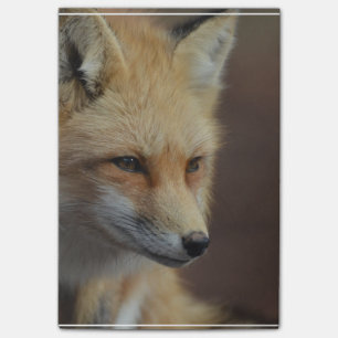 Cute Red Fox Post-it® Notes