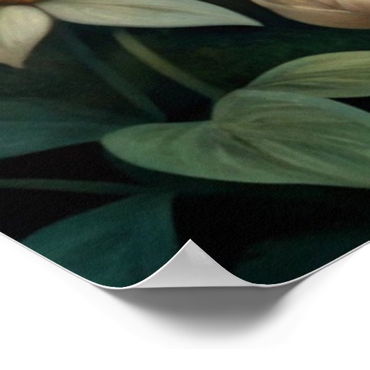 Cute Red Fox Poster (Hoek)