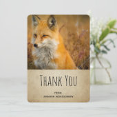 Cute Red Fox Wilderness Nature Photo Merci (Debout devant)