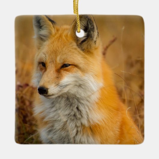 Cute Red Fox Wilderness Natuur Keramisch Ornament (Voorkant)