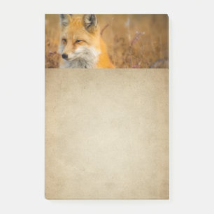 Cute Red Fox Wilderness Natuur Post-it® Notes