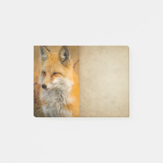 Cute Red Fox Wilderness Natuur Post-it® Notes (Voorkant)