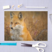 Cute Red Fox Wilderness Natuur Tissuepapier (Craft)