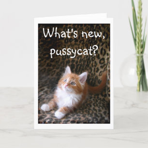 Cute red kitten on leopard print greeting card kaart