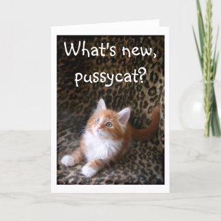 Cute red kitten on leopard print greeting card kaart