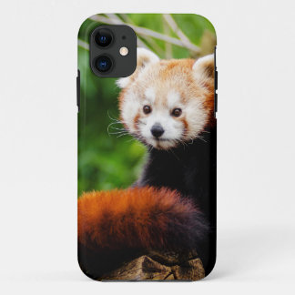 Cute Red Panda Beer iPhone 11 Hoesje