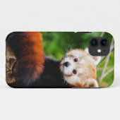 Cute Red Panda Beer Case-Mate iPhone Case (Achterkant (horizontaal))
