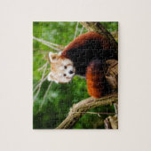 Cute Red Panda Beer Legpuzzel (Verticaal)