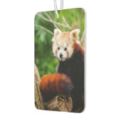 Cute Red Panda Beer Luchtverfrisser (Links)