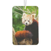 Cute Red Panda Beer Luchtverfrisser (Achterkant)