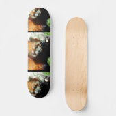 Cute Red Panda Beer Skateboard (Voorkant)
