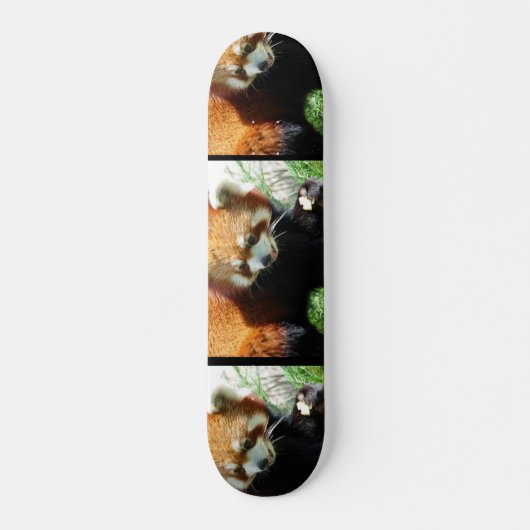 Cute Red Panda Beer Skateboard (Voorkant)