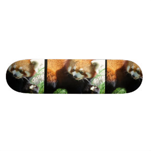 Cute Red Panda Beer Skateboard