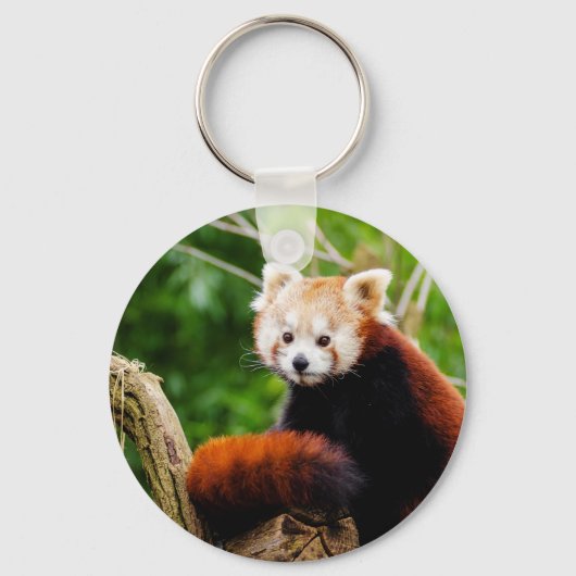 Cute Red Panda Beer Sleutelhanger (Voorkant)