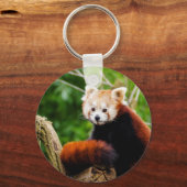 Cute Red Panda Beer Sleutelhanger (Voorkant)