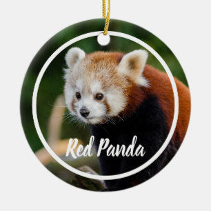 Cute Red Panda Lijst Keramisch Ornament