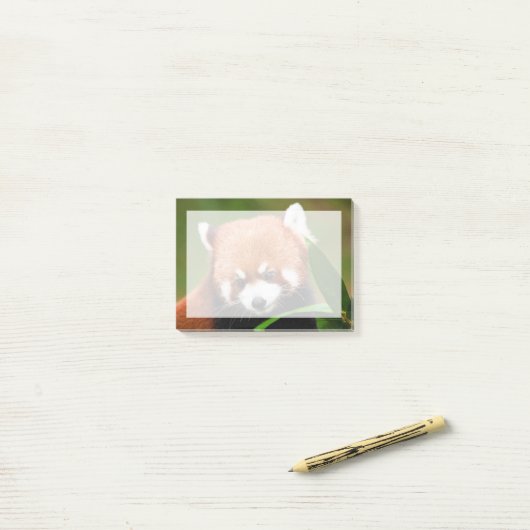 Cute Red Panda Post-it® Notes (Op bureau)
